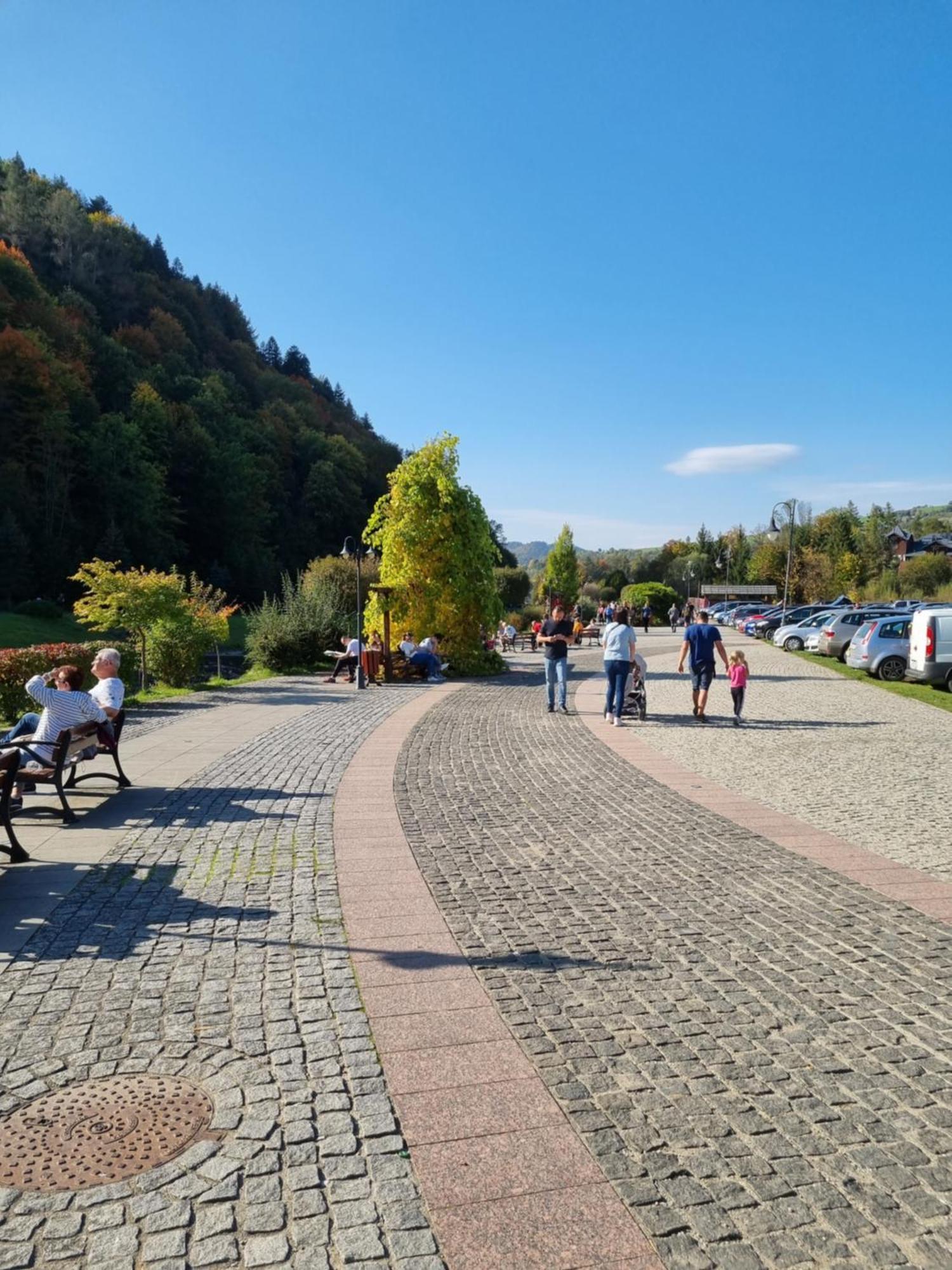 Willa "Komancza" Szczawnica Ruska Bania - Jacuzzi & Sauna Exterior foto